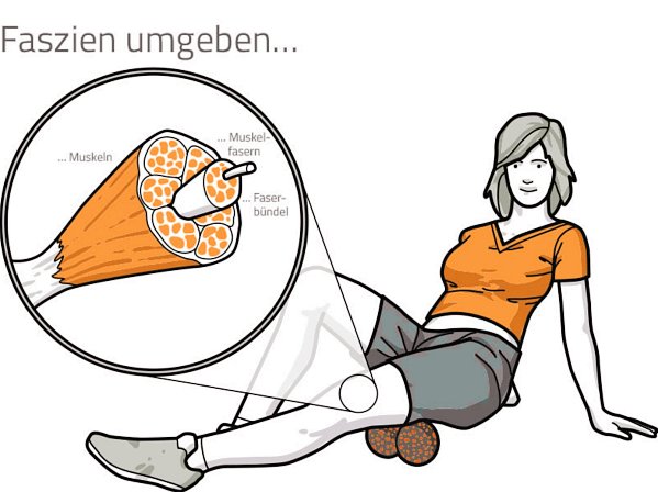 Faszien geraten immer mehr in den Fokus der konservativen Medizin Faszien geraten immer mehr in den Fokus der konservativen Medizin